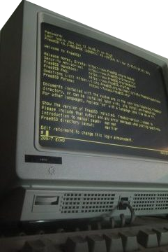 IBM 3151